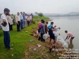 हिमाचल में 21 हजार मीट्रिक टन हुआ मछली उत्पादन