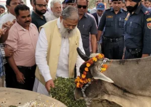 गौमाता का पालन-पोषण करने से बढ़ेगा राष्ट्र का गौरव - विज