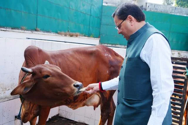 मुख्यमंत्री आवास में धामी ने गोवर्धन पूजा के मौके पर की विशेष पूजा-अर्चना