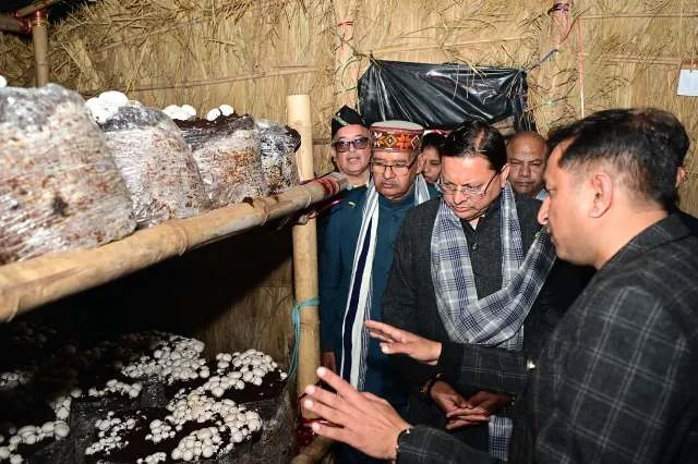 कृषि नवाचार को बढ़ावा देगा एमबी फूड्स का ‘मशरूम ग्राम’ प्रोजेक्ट