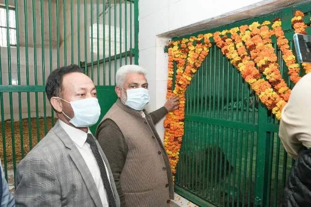 दो सफेद और एक भूरे शावक से चिड़ियाघर में बाघों की संख्या हुई 10